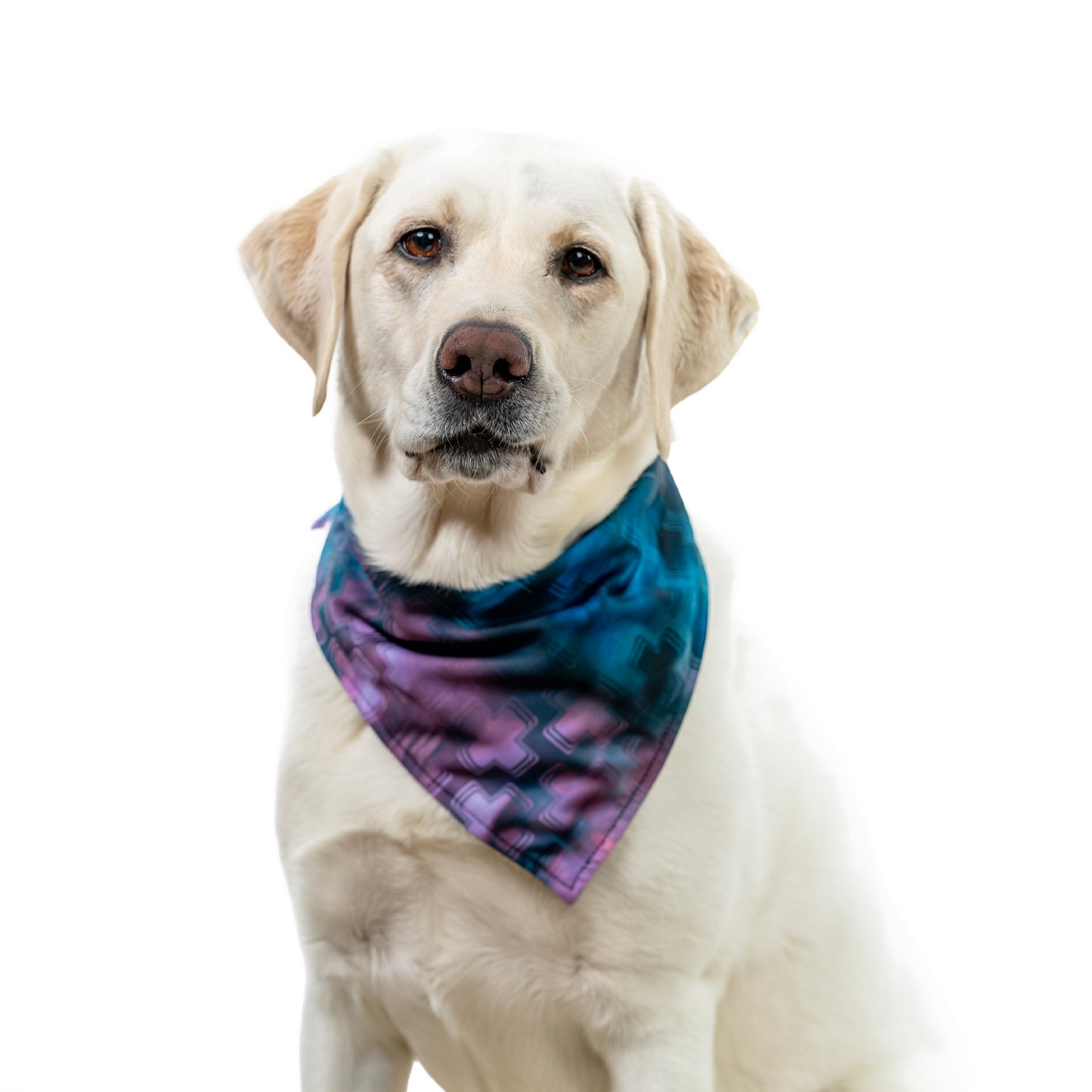 HORMESIS TRIANGLE BANDANA PSYCHO CRUX MIAMI